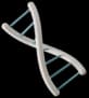 DNA